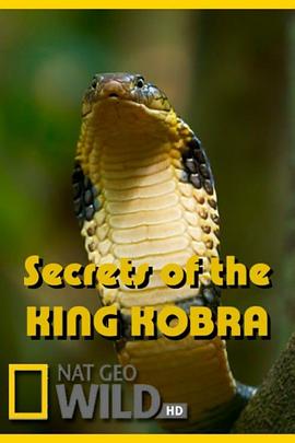 眼镜蛇的秘密 Secrets of the King Cobra