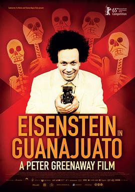 爱森斯坦在瓜纳华托 <span style='color:red'>Eisenstein</span> in Guanajuato