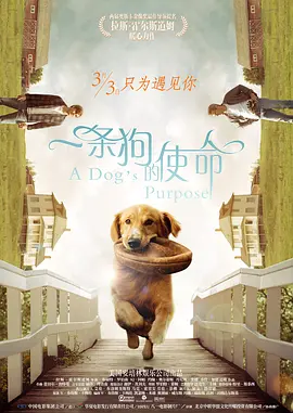 一<span style='color:red'>条</span>狗的使<span style='color:red'>命</span> A Dog's Purpose