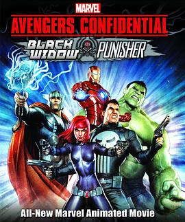 机密复仇者：黑寡妇与惩罚者 Marvel Avengers Confidential: Black Widow & Punisher