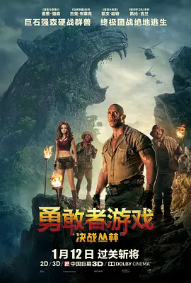 <span style='color:red'>勇敢者游戏：决战丛林 Jumanji: Welcome to the Jungle</span>