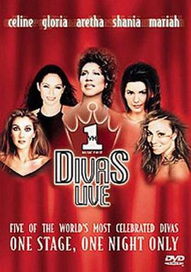 世纪天后的<span style='color:red'>喝</span>彩 Divas Live: An Honors Concert for VH1 Save the Music