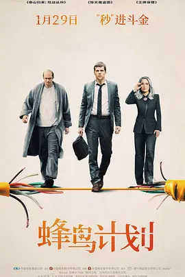 <span style='color:red'>蜂鸟</span>计划 The Hummingbird Project