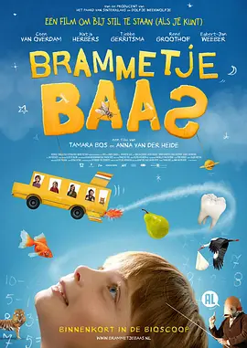 布拉姆的异想世界 Brammetje Baas