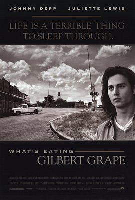 <span style='color:red'>不一样的天空 What's Eating Gilbert Grape</span>