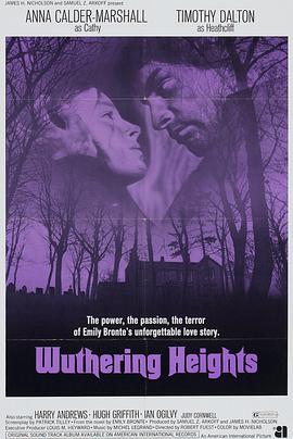 新呼啸山庄 Wuthering Heights