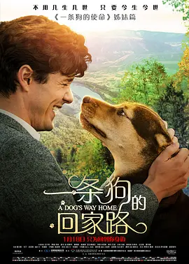 <span style='color:red'>一</span>条狗的<span style='color:red'>回</span>家路 A Dog's Way Home