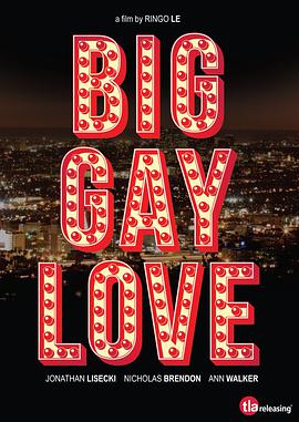 同志大爱情 Big Gay Love