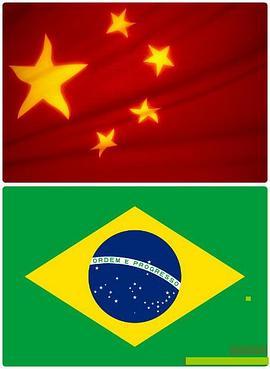 巴西vs中国 <span style='color:red'>Brazil</span> vs. China