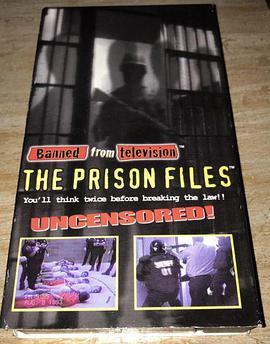 禁止电视：监狱文件 Banned from <span style='color:red'>Television</span>: Prison Files