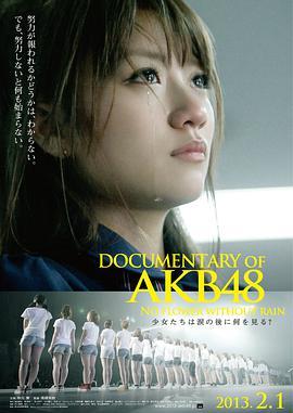 AKB48心程纪实3：少女眼泪的背后 Documentary of AKB48 No Flower Without Rain 少女たちは涙の後に何を見る？