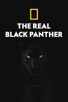 <span style='color:red'>真</span>黑豹<span style='color:red'>无</span><span style='color:red'>双</span> The Real Black Panther