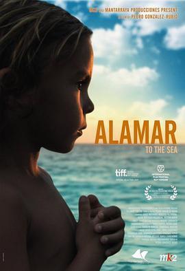 拥抱大海 Alamar