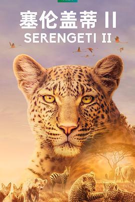 塞伦<span style='color:red'>盖</span>蒂 第二季 Serengeti Season 2
