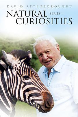 自然趣闻 第一季 <span style='color:red'>David</span> Attenborough's Natural Curiosities Season 1