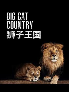 狮子王国 Big Cat Country