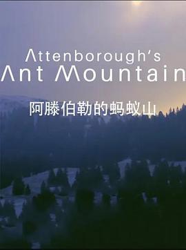 阿滕伯勒的蚂蚁山 <span style='color:red'>David</span> Attenborough's Ant Mountain