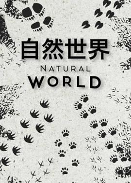 <span style='color:red'>自</span><span style='color:red'>然</span>世界 第一季 Natural World Season 1