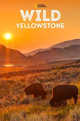 野性黄石公园 Wild <span style='color:red'>Yellowstone</span>