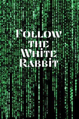 The Matrix: <span style='color:red'>Follow</span> the White Rabbit