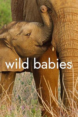 野生动物宝宝 第一季 Wild Babies Season 1