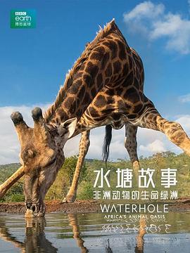 水塘故事：非洲动物的生命绿洲 Water<span style='color:red'>hole</span> Africa's Animal Oasis