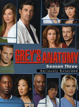 实习医生<span style='color:red'>格</span>蕾 第<span style='color:red'>三</span>季 Grey's Anatomy Season 3