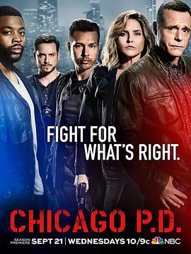 芝加哥警<span style='color:red'>署</span> 第四季 Chicago P.D. Season 4