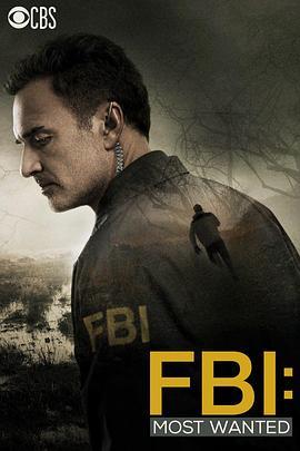 联邦调查局：通缉要犯 第一季 <span style='color:red'>FBI</span>: Most Wanted Season 1