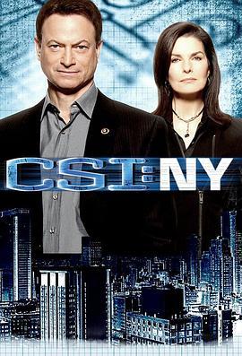 犯罪现场调查：纽约 第七季 CSI: <span style='color:red'>NY</span> Season 7