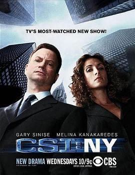 犯罪现场调查：纽约 第五季 CSI: <span style='color:red'>NY</span> Season 5