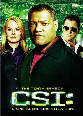 犯罪现场调查 第十季 CSI: Crime Scene In<span style='color:red'>vest</span>igation Season 10
