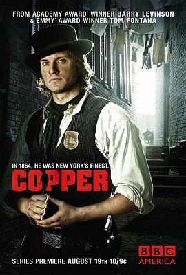 <span style='color:red'>纽约警察故事 第二季 Copper Season 2</span>