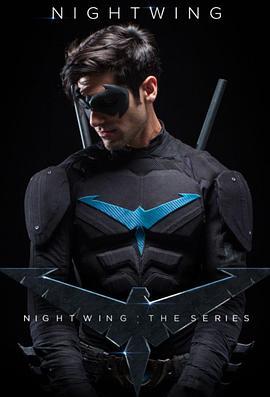 夜翼：传<span style='color:red'>承</span> Nightwing: The Series