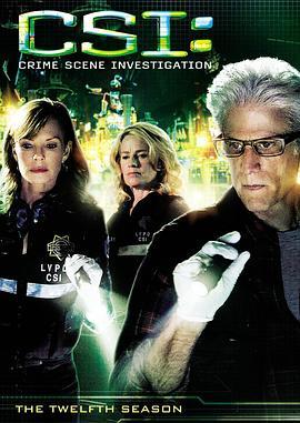 犯罪现场调查 第十二季 CSI: Crime Scene Investigation Season 12