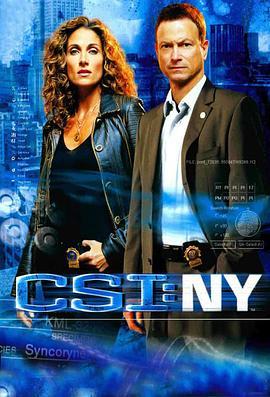 犯罪现场调查：纽约 第四季 CSI: <span style='color:red'>NY</span> Season 4