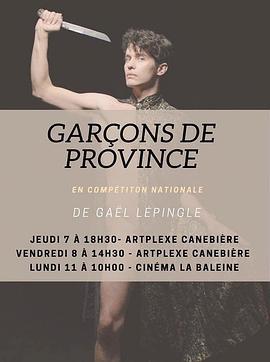 小镇男孩 Des garçons de province