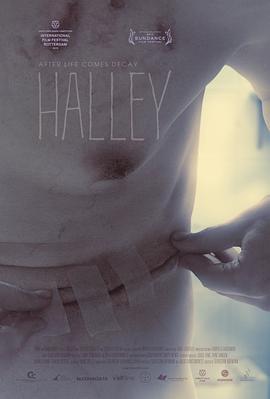 哈雷 Halley