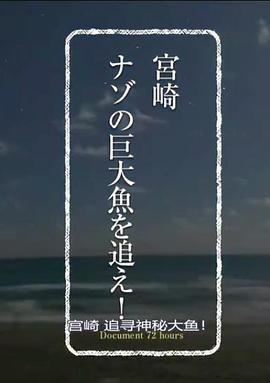 纪实72小时：宫崎 追捕神秘的巨大鱼 ドキュメント72時間「宮崎 ナゾの巨大魚を追え！」