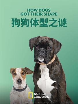 狗狗体型之谜 How Dogs Got Their Shapes