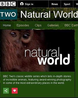 琥珀：时光机器 BBC Natural World The <span style='color:red'>Amber</span> Time Machine