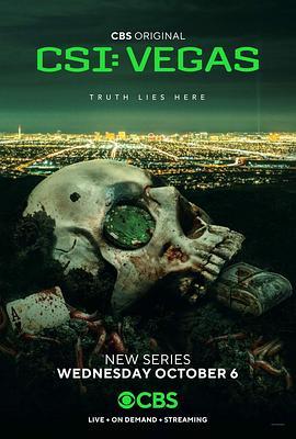 犯罪现场调查：维加斯 第一季 CSI: Vegas Season 1