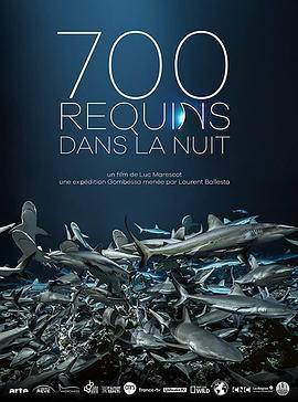 鲨鱼探秘 700 requins dans la nuit