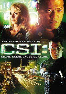犯罪现<span style='color:red'>场</span><span style='color:red'>调</span><span style='color:red'>查</span> 第十一季 CSI: Crime Scene Investigation Season 11