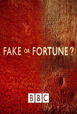 赝品<span style='color:red'>或</span>珍品？ 第一季 Fake or Fortune? Season 1