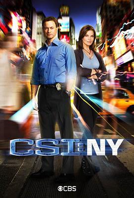 犯罪现场调查：纽约 第八季 CSI: <span style='color:red'>NY</span> Season 8