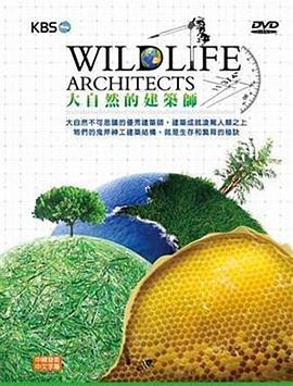 大自然的建筑师 Wildlife Architects