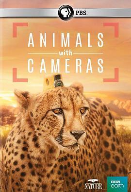 假如动物会摄影 Animals with <span style='color:red'>Cameras</span>