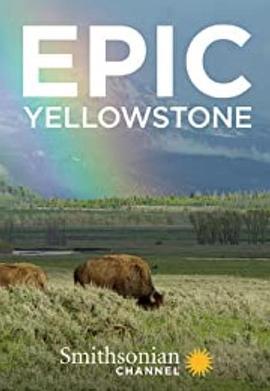 黄石公园 Epic <span style='color:red'>Yellowstone</span>
