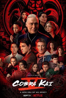 <span style='color:red'>眼</span><span style='color:red'>镜</span>蛇 第五季 Cobra Kai Season 5